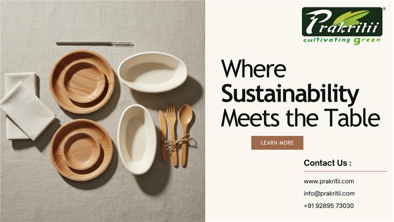 New Year, Greener Tables: Sustainable Dining Resolutions for 2026