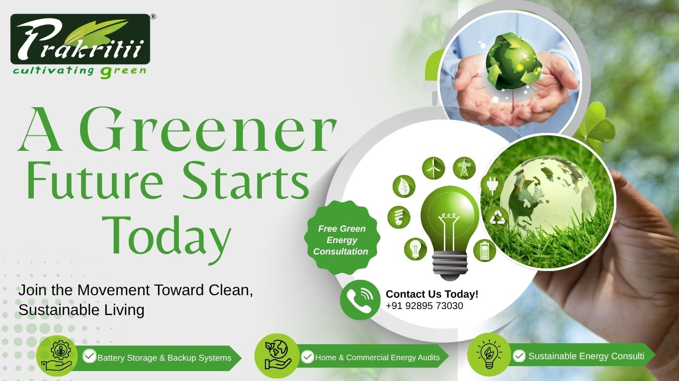 Compostable Dinnerware: The Future of Sustainable Events