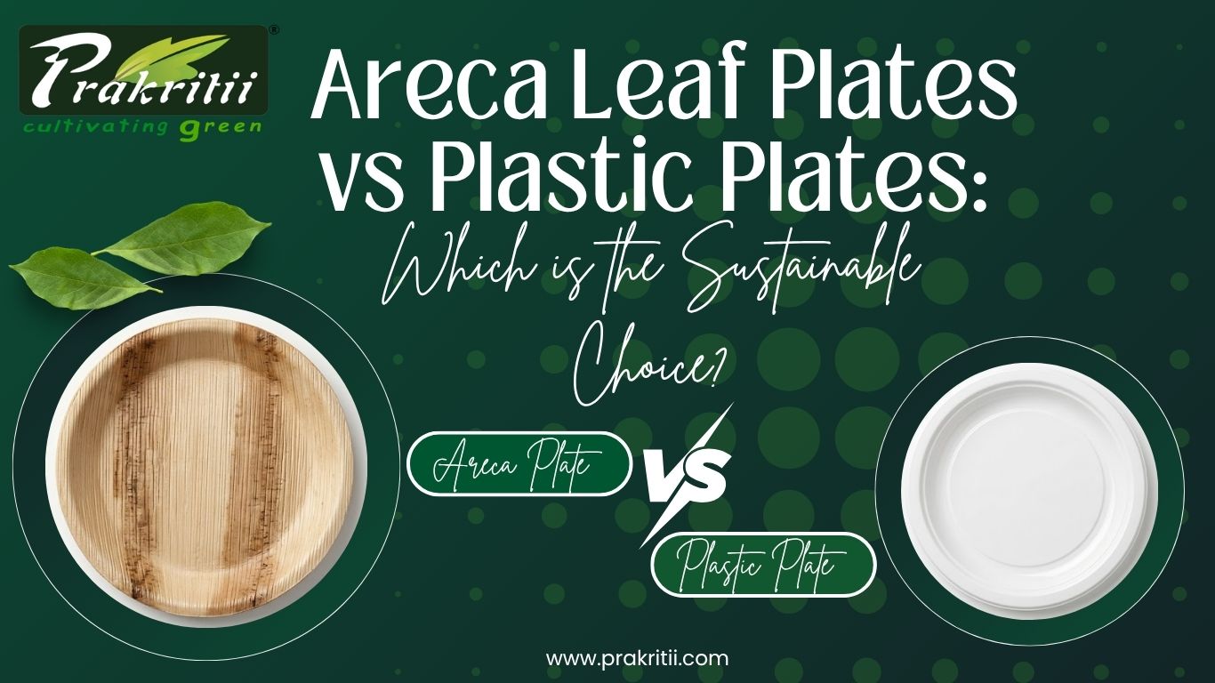 Areca Leaf Plates vs Plastic Plates: A Sustainable Comparison