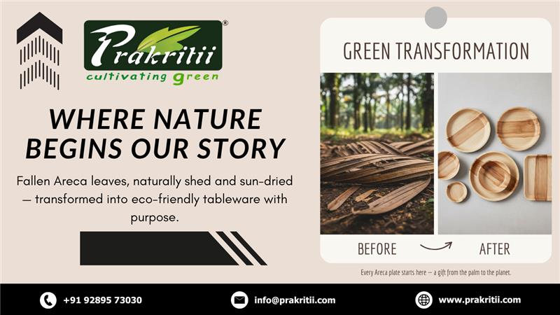 🌿 Behind the Leaf: The Journey of an Areca Plate from Farm to Table