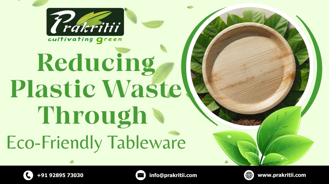 Reducing Plastic Waste Through Eco-Friendly Tableware