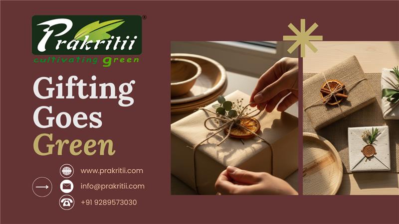 Sustainable Gifting Guide 2025: Eco-Friendly Presents that Impress