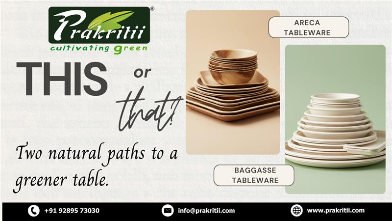 Areca, Bagasse, and Bamboo: Choosing the Right Material for Your Business