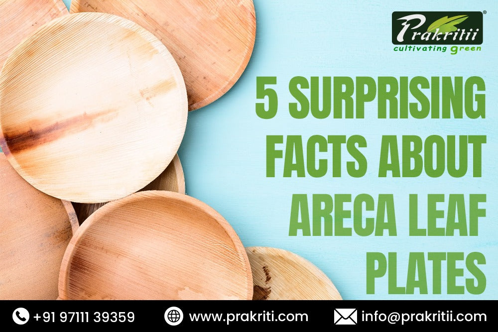 5 Surprising Facts About Areca Leaf Plates