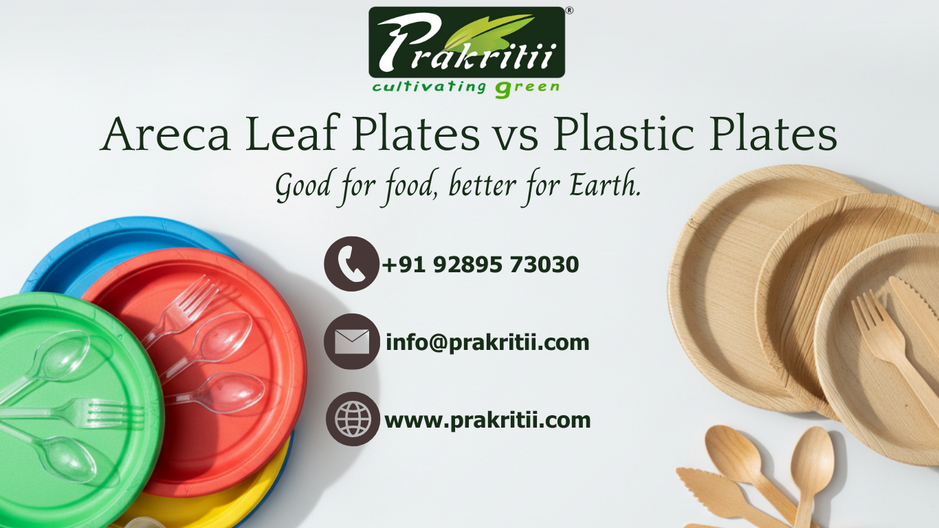 Areca Leaf Plates vs Plastic Plates: A Complete Comparison