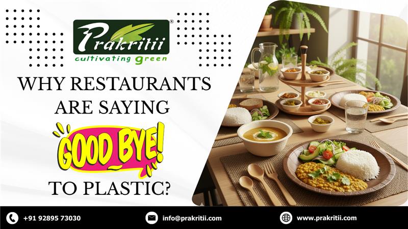 10 Reasons Restaurants Are Ditching Plastic for Biodegradable Dinnerware&nbsp;