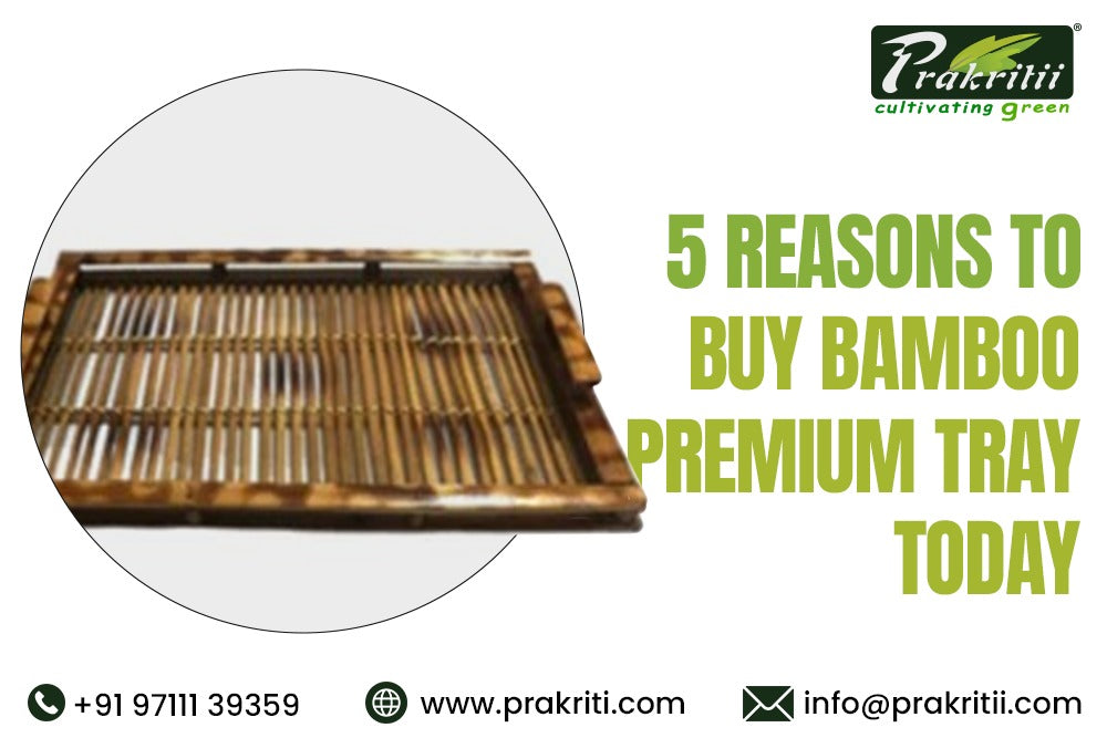 5 Reasons to Buy Bamboo Premium Tray Today