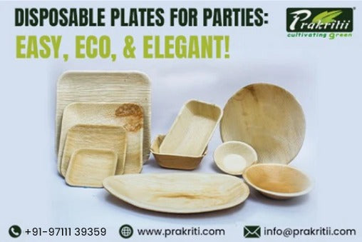 Disposable Plates for Parties: Easy, Eco, and Elegant!