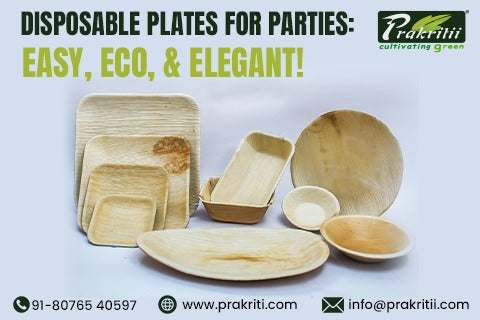 Disposable Plates for Parties