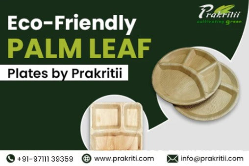 Eco-Friendly Palm Leaf Plates by Prakritii