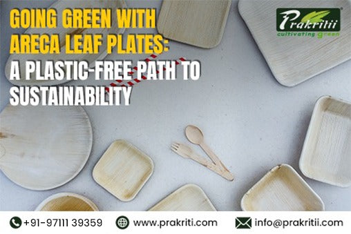 Going Green with Areca Leaf Plates: A Plastic-Free Path to Sustainability
