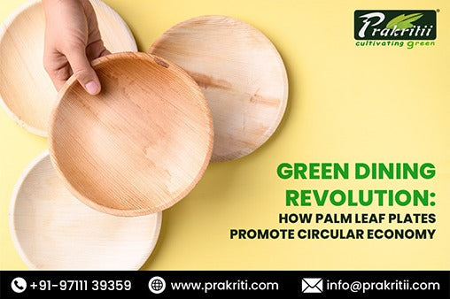 Green Dining Revolution: How Palm Leaf Plates Promote Circular Economy