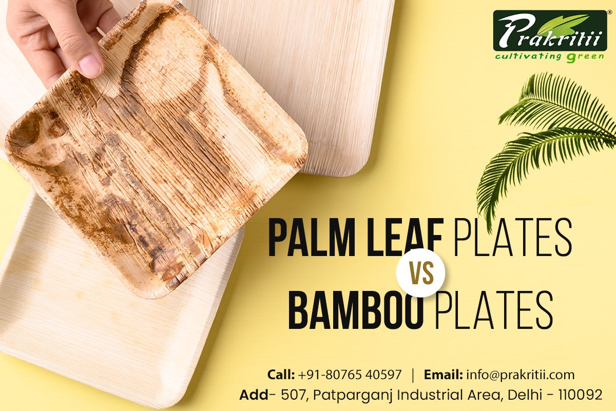 Palm Leaf Plates vs Bamboo: Which Eco-Friendly Option is Right for You?