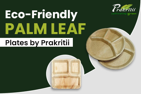 Eco-Friendly Palm Leaf Plates by Prakritii