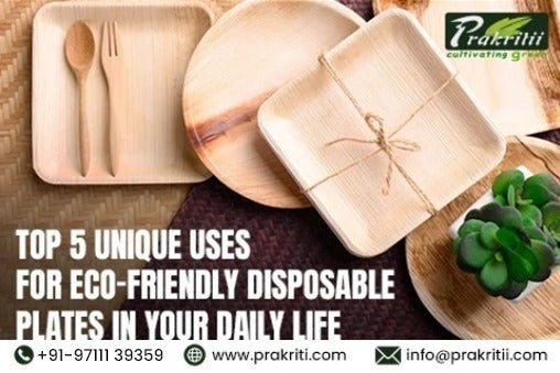 Top 5 Unique Uses for Eco-Friendly Disposable Plates in Your Daily Life