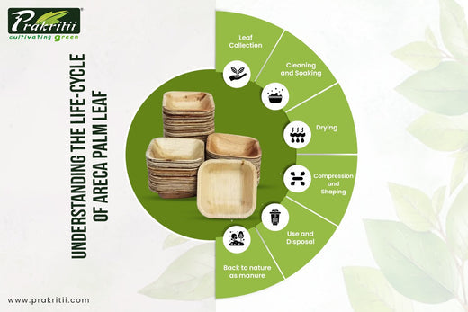 Understanding the Lifecycle of Areca Palm Leaves
