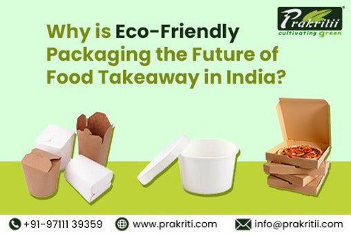 Why is Eco-Friendly Packaging the Future of Food Takeaway in India?