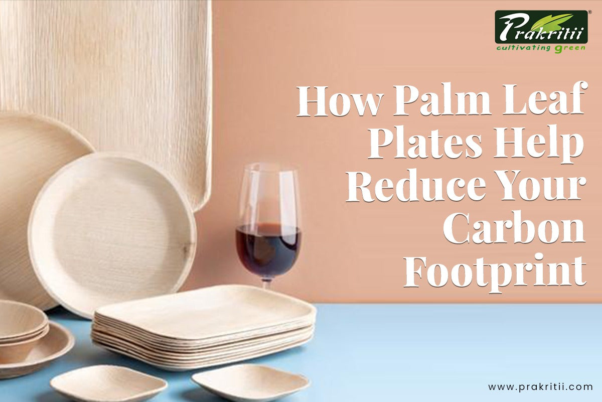 Eco-Friendly Dining: How Palm Leaf Plates Help Reduce Your Carbon Footprint