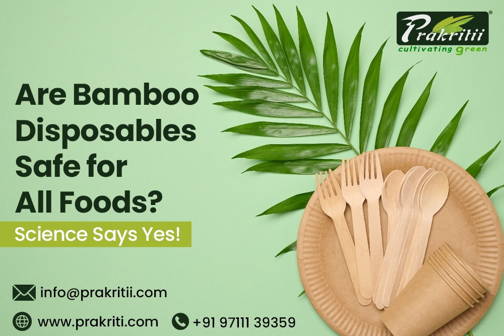 Are Bamboo Disposables Safe for All Foods? Science Says Yes!
