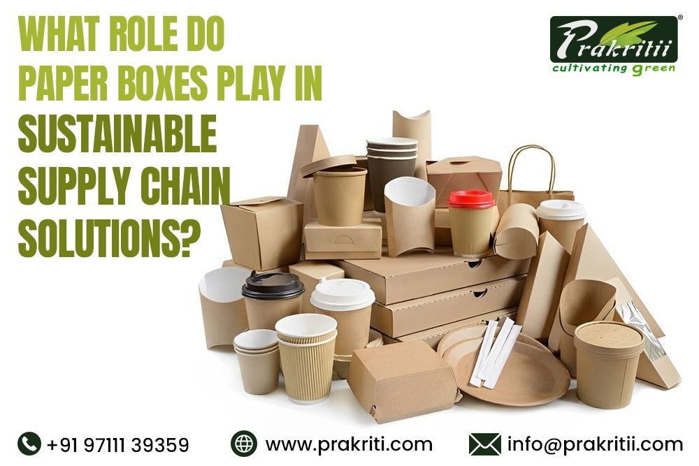 What Role Do Paper Boxes Play in Sustainable Supply Chain Solutions?