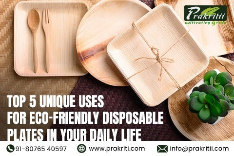 Disposable plates and cutlery