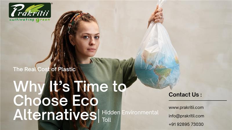 The Real Cost of Plastic: Why Switching to Eco Alternatives Matters