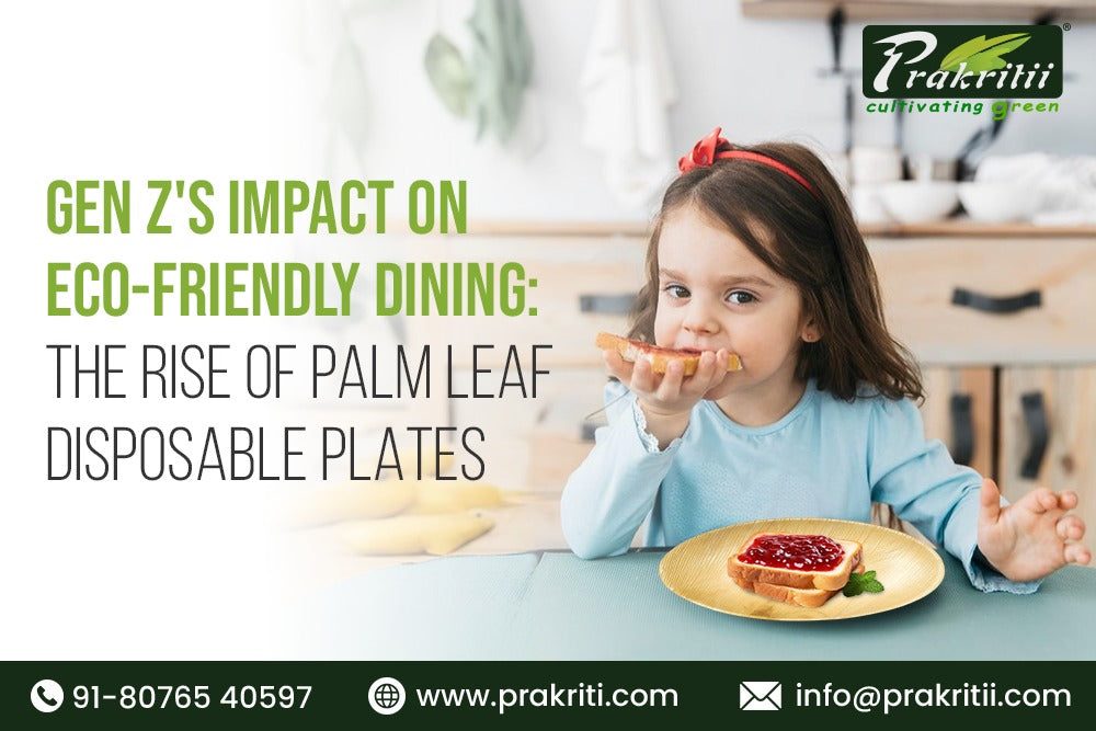 Gen Z's Impact on Eco-Friendly Dining: The Rise of Palm Leaf Disposable Plates