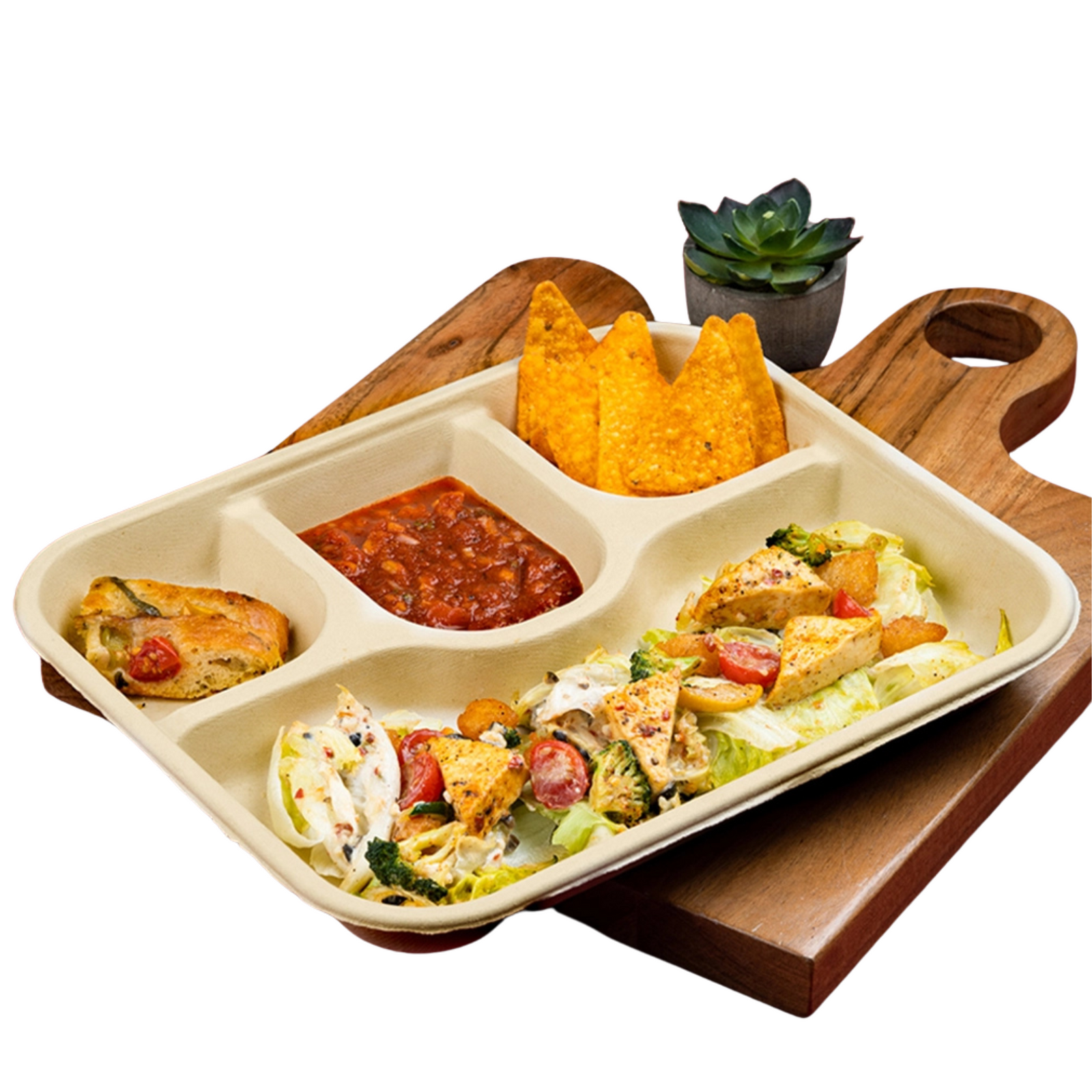 11" (28cm)  4 Compartment Rectangle Bagasse Plate