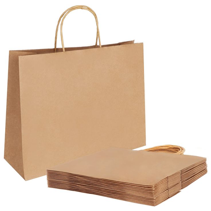 Paper Carry Bag