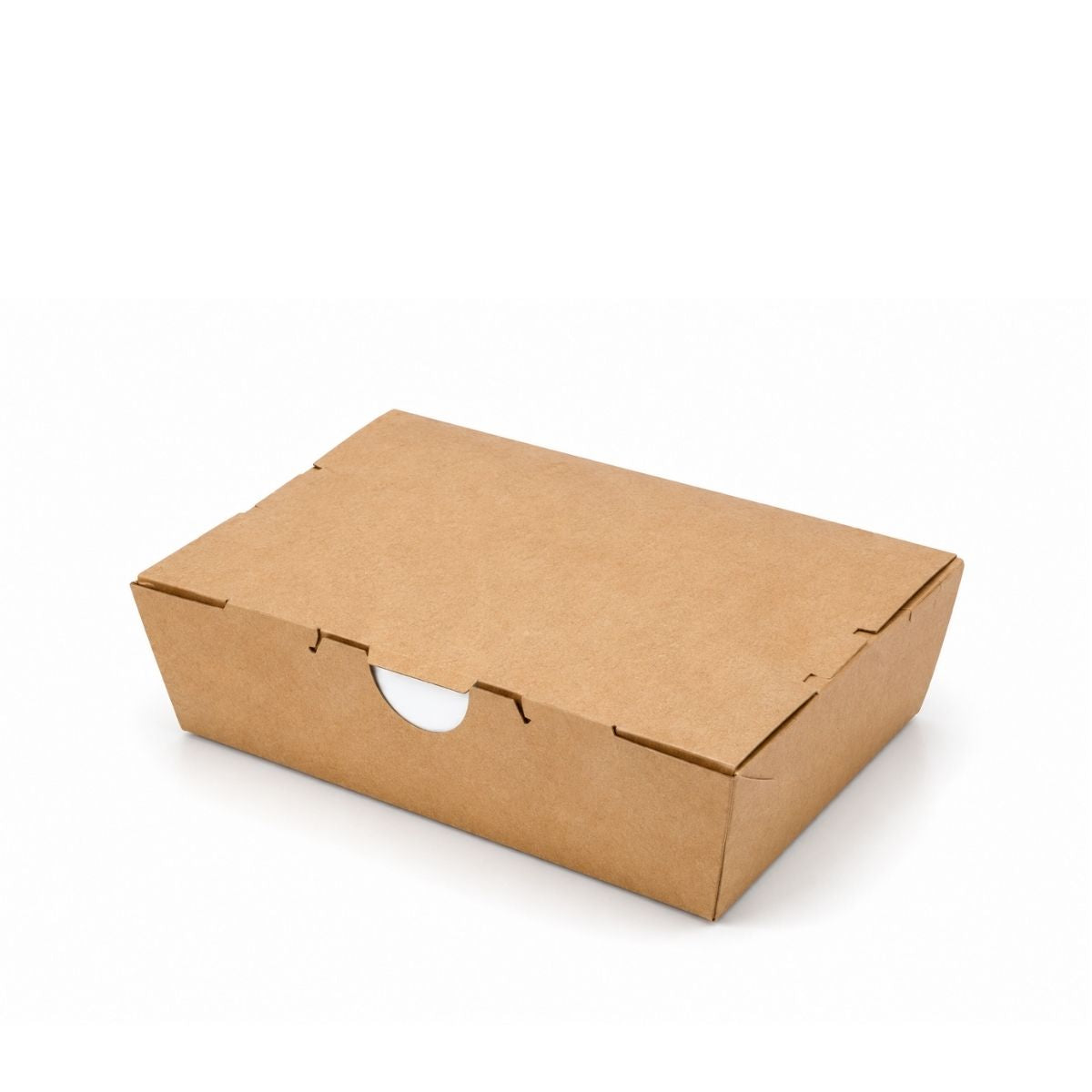 Paper Lunch Box