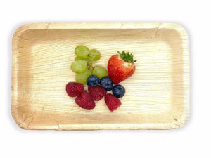 9" x 6" (23 cm x 16 cm) Rectangle Plates