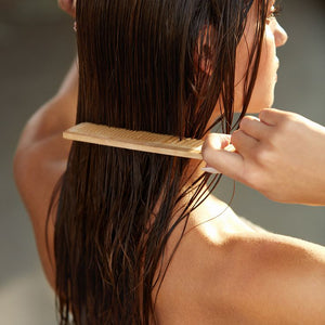 Neem Comb with handle