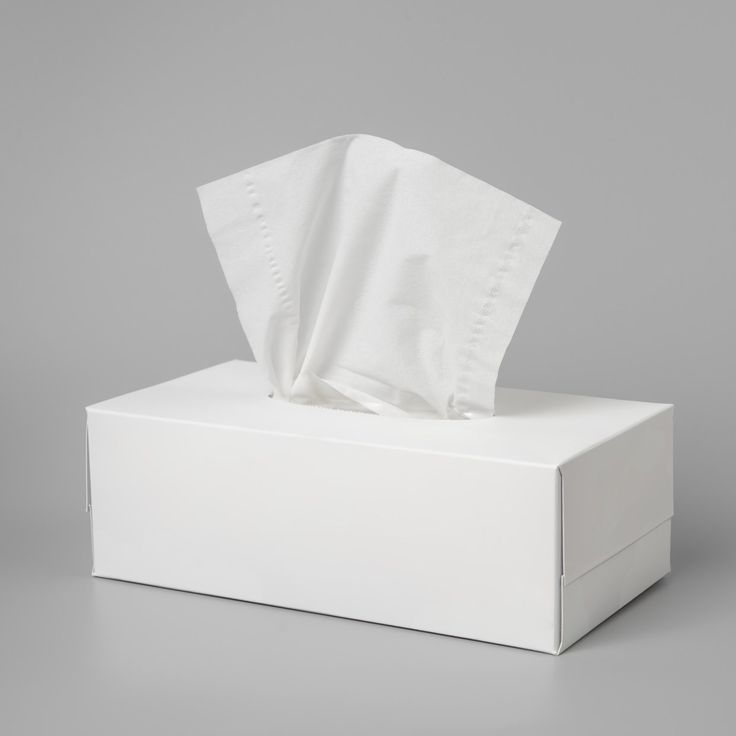 2 Ply Paper Napkin