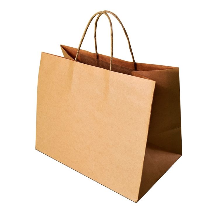 Paper Carry Bag