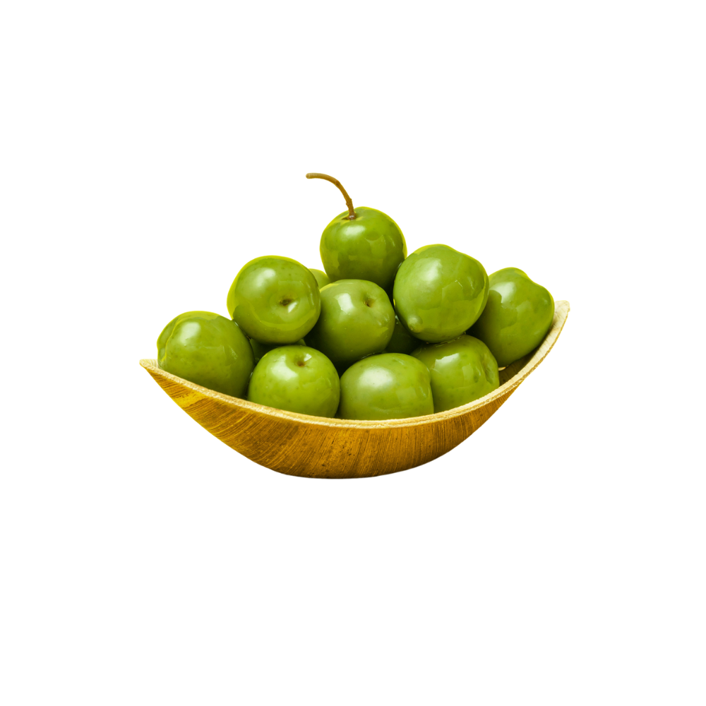 9"x 5" (23x13cm) Oval Bowl